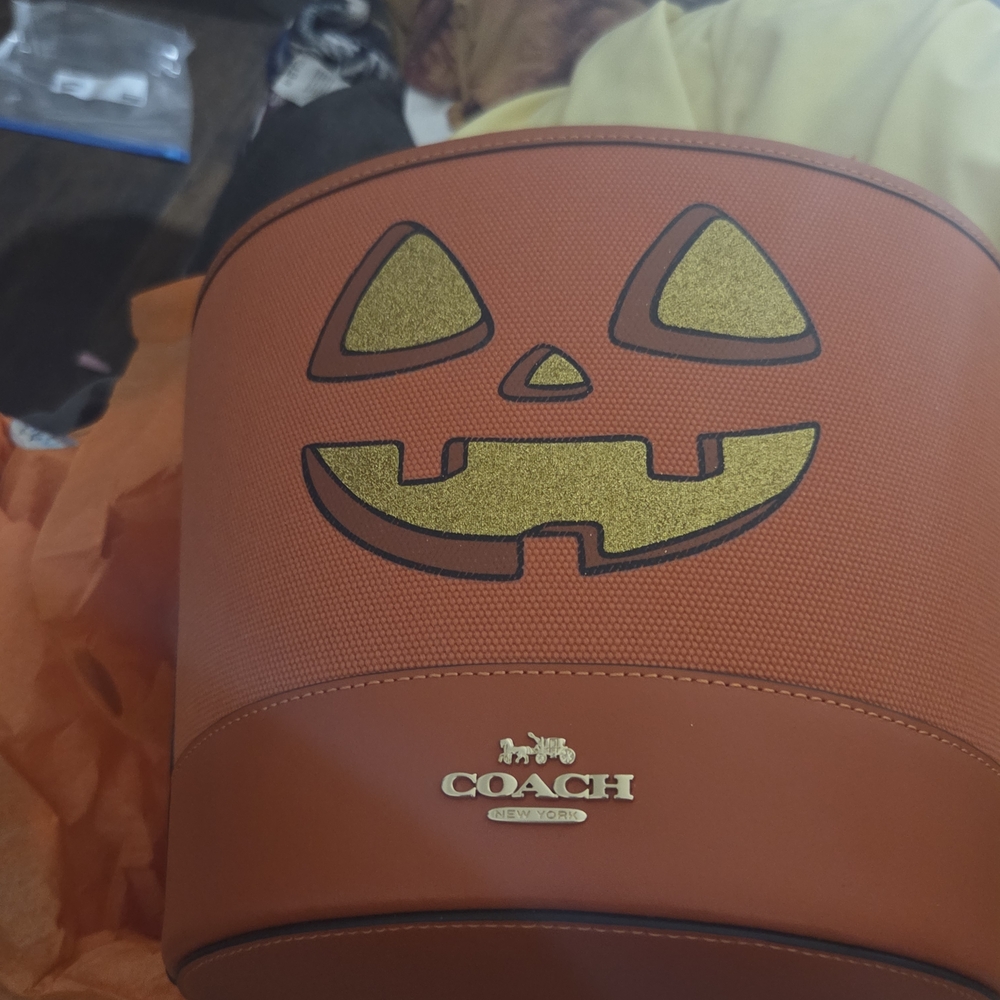 Coach Halloween Pumpkin Bucket Bag It is no longer manufactured - Picture 6 of 9